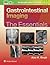 Gastrointestinal Imaging: The Essentials (Essentials Series)
