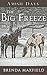 The Big Freeze by Brenda  Maxfield