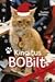 Kingitus Bobilt