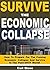 Survive the Economic Collapse: How To Prepare For The Coming Economic Collapse And Survive In The Post-SHTF World!