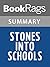 Summary & Study Guide Stones Into Schools by Greg Mortenson
