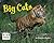 Big Cats (Engage Literacy Green)