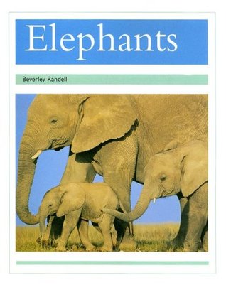 Elephants (Paperback)