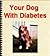 Your Dog With Diabetes