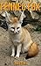 Fennec fox: Children Book of Fun Facts & Amazing Photos on Animals in Nature - A Wonderful Fennec fox Book for Kids aged 3-7