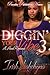 Diggin' Your Vibe 3: A Hood Romance (Digging' Your Vibe)