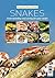 Snakes: Understanding and caring for your snake