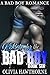 A Baby for the Bad Boy: Book 6