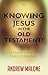 Knowing Jesus in the Old Testament?: A Fresh Look At Christophanies