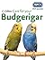 Care for your Budgerigar