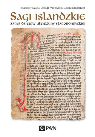 Sagi islandzkie. Zarys dziejów literatury staronordyckiej