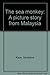 The sea monkey: A picture story from Malaysia