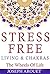Stress Free Living & Chakras by Joseph Arouet