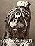 Warrior Saints: Four Centur...
