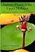 Aquatic Plants of the Upper Midwest: A Photographic Guide to our Underwater Forests, 2nd Edition