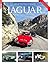 Jaguar by Peter Tomalin