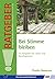 Bei Stimme bleiben: Ein Ratgeber für Lehrer und Berufssprecher (German Edition)