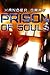 Prison of Souls by Xander Gray