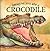 Imagine You Are a Crocodile