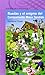 Ruedas y el enigma del Campamento Moco Tendido (Anizeto Calzeta, #3)