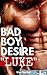 Bad Boy Desire: Luke
