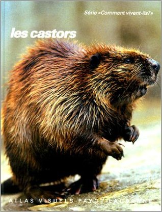 Les castors