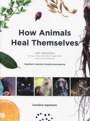 How Animals Heal Themselves: Ingraham Applied Zoopharmacognosy (Paperback)