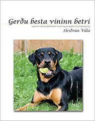 Gerðu besta vininn betri: Lykillinn að vel þjálfuðum hundi og ánægðum hundaeiganda