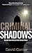 Criminal Shadows: Inside the Mind of the Serial Killer