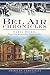 Bel Air Chronicles (American Chronicles)