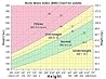 BMI - Body Mass Index: Principles and Applications