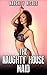 Romance: The Naughty House Maid (Women's Fiction, Single Authors, Billionaires, Contemporary)
