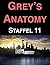 Grey's Anatomy: Staffel 11