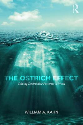 The Ostrich Effect (Paperback)