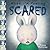 When I'm Feeling Scared (The Feelings Series)