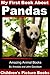My First Book about Pandas - Children’s Picture Books