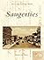 Saugerties (Postcard History Series)