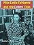 Miss Lydia Fairbanks and the Losers Club
