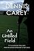 An Untilled Field (Historical Fiction): If it’s a land war they want, there are people prepared to fight back. (Irish Land Wars Book 1)