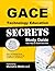 GACE Technology Education S...