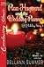 Plan Hayward And The Wedding Planner (A Holiday Story #1)