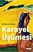 Karayel Üşümesi by Berna Durmaz