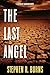 The Last Angel (Desolate Kingdom, #1)