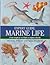 Expert Guide: Marine Life