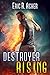 Destroyer Rising (Vesik, #5)