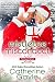 Mistletoe Misconduct (Portland Storm #7.6)