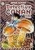 Detective Conan Vol. II nº 28 (Detective Conan II, #28)