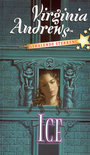 Ice (Stralende Sterren, #2)