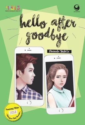 Hello After Goodbye (Paperback)