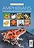 Amphibians: Understanding and caring for your amphibian (Practical Pets series Book 4)